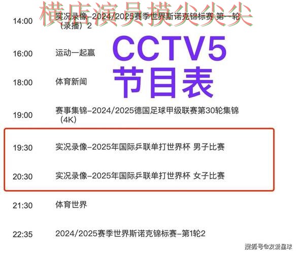世界杯买球平台哪个好？围绕数据分析+直播体验做一次盘点（世界杯高清直播）